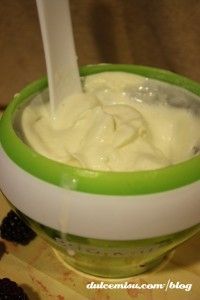 Helado-de-tarta-de-queso-con-moras-en-heladera-Zoku-(13)