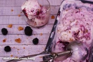 Helado-de-tarta-de-queso-con-moras-en-heladera-Zoku-(37)