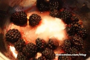 Helado-de-tarta-de-queso-con-moras-en-heladera-Zoku-(5)