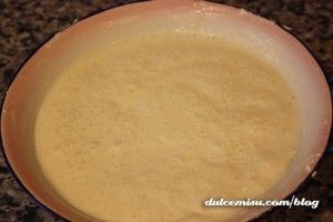 Helado-de-tarta-de-queso-con-moras-en-heladera-Zoku-(8)